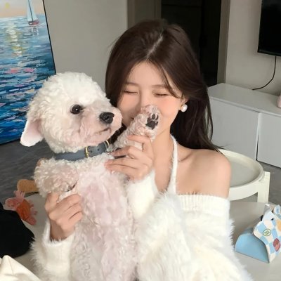 厕所骑士