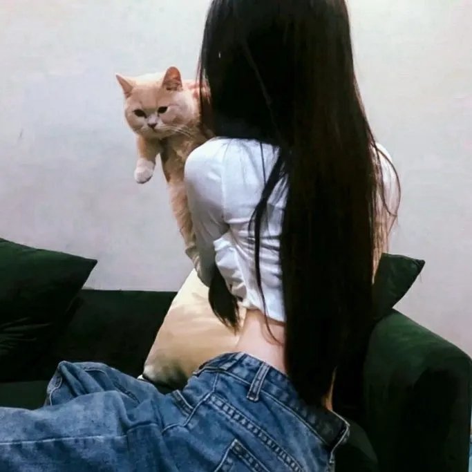 心之动力学