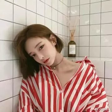 紫禁秘录